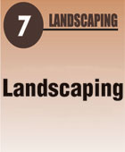 7-landscaping